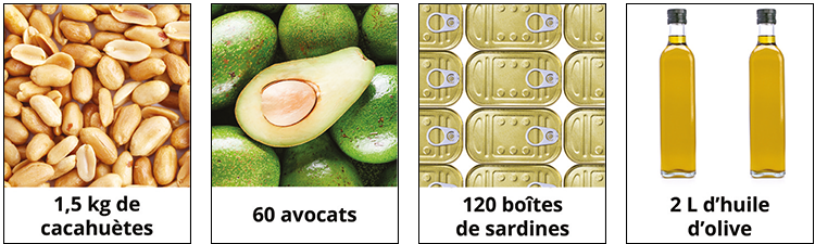 L'Ubiquinol dans l'alimentation